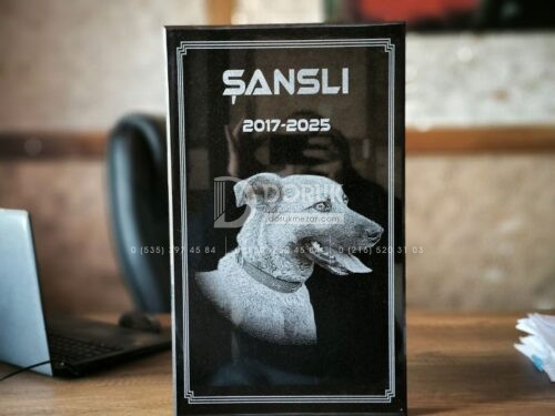 Lazer Resimli 50x30cm Granit Pet Mezar Taşı