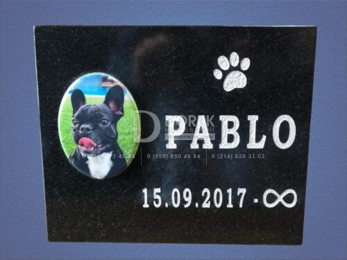 Granit Evcil Hayvan (Kedi&Köpek) Resimli Anıt Taşı