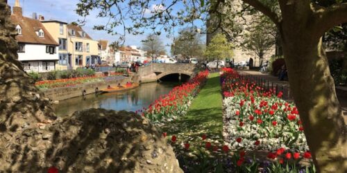 canterbury ingiltere dil okullari resim