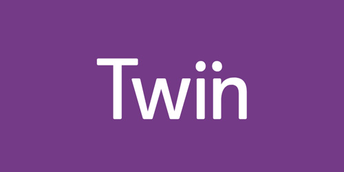 twin english centres dil okulu logo