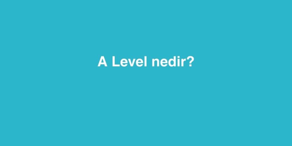 a level nedir 1 1024x512 1