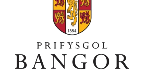 bangor logo a1