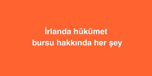 İrlanda Hükümet Bursu Hakkında Her Şey 635 irlanda hukumet bursu hakkinda her sey 500x250 1