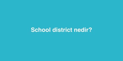 School District Nedir? 596 school district nedir 3 500x250 1