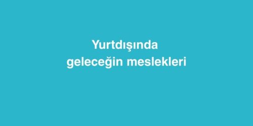 Yurtdışında Geleceğin Mesleklerini Edinebileceğiniz Bölümler 658 yurtdisinda gelecegin mesleklerini edinebileceginiz bolumler 500x250 1