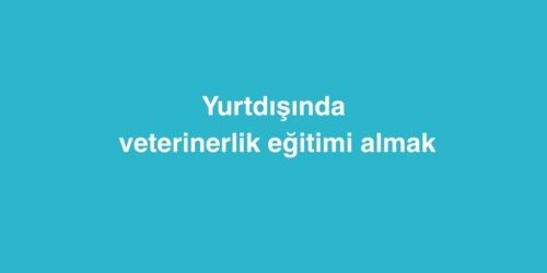yurtdisinda veterinerlik egitimi almak 1 500x250 1