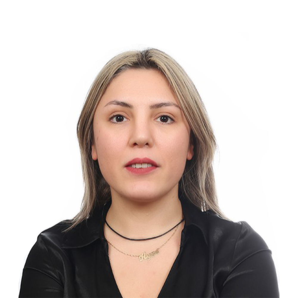 ayse genc resim