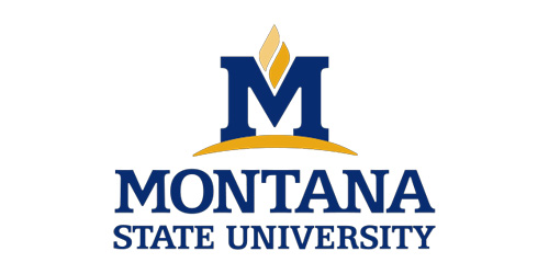 montana state university logo