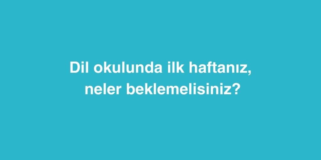 Dil Okulunda İlk Haftanız: Neler Beklemelisiniz? 1 dil okulunda ilk haftaniz neler beklemelisiniz 1024x512 1
