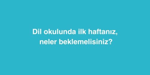 Dil Okulunda İlk Haftanız: Neler Beklemelisiniz? 574 dil okulunda ilk haftaniz neler beklemelisiniz 500x250 1