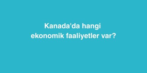 Kanada'da Hangi Ekonomik Faaliyetler Var? 545 kanadada hangi ekonomik faaliyetler var 1 500x250 1