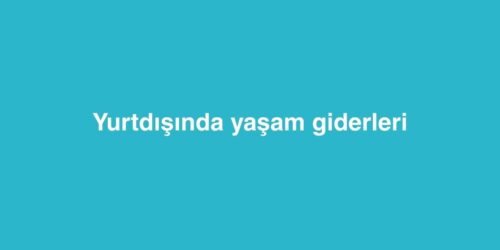 Yurtdışında Yaşam Giderleri 553 yurtdisinda yasam giderleri 500x250 1