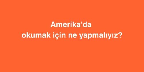 Amerika'da okumak için ne yapmalıyız? 528 amerikada okumak icin ne yapmaliyiz 500x250 1
