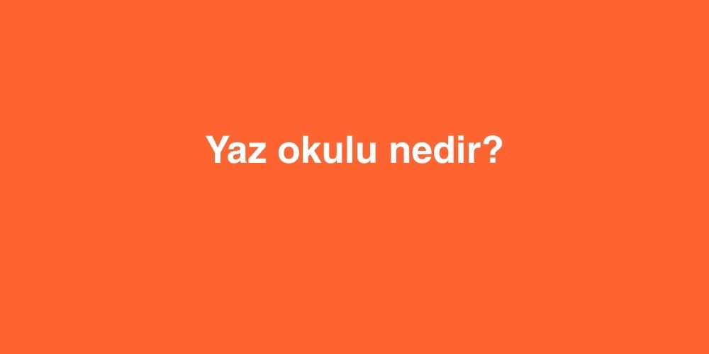 yaz okulu nedir 1 1