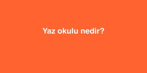 Yaz Okulu Nedir? 536 yaz okulu nedir 1 500x250 1