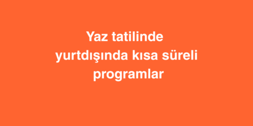 Yaz Tatilinde Yurtdışında Kısa Süreli Programlar 504 yaz tatilinde yurtdisinda kisa sureli programlari 500x250 1