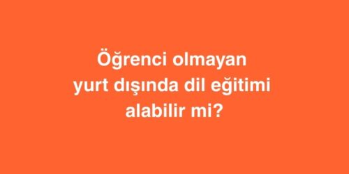 Öğrenci Olmayan Yurt dışında Dil Eğitimi Alabilir Mi? 478 ogrenci olmayan yurt disinda dil egitimi alabilir mi 500x250 1