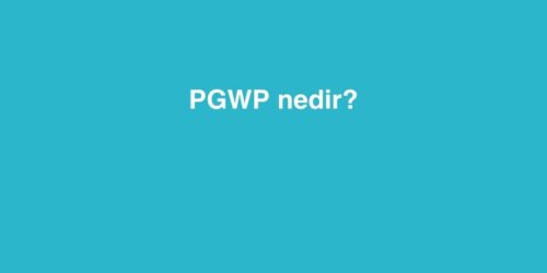 PGWP Nedir? 16 pgwp nedir 2 500x250 1