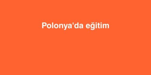 Polonya'da Eğitim 486 polonyada egitim 500x250 1