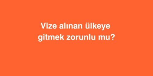 vize alinan ulkeye gitmek zorunlu mu 500x250 1