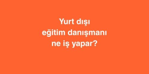 Yurt dışı Eğitim Danışmanı Ne İş Yapar? 494 yurt disi egitim danismani ne is yapar 500x250 1