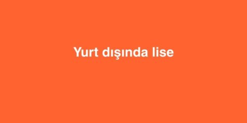 yurt disinda lise 500x250 1