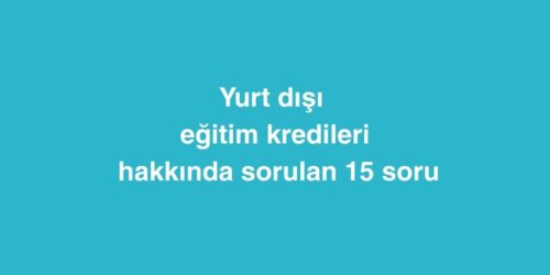Yurt Dışı Eğitim Kredileri Hakkında Sorulan 15 Soru 437 yurt disinda ogrenciler icin en ucuz marketler ve alisveris ipuclari 4 500x250 1