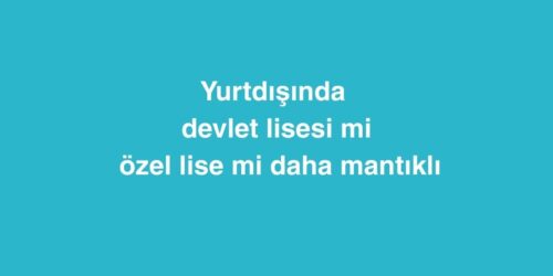 Yurtdışında Devlet Lisesi mi Özel Lise mi Daha Mantıklı 427 yurtdisinda devlet lisesi mi ozel lise mi daha mantikli 500x250 1