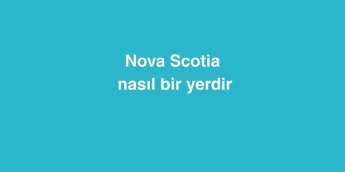 Nova Scotia Nasıl Bir Yerdir 391 nova scotia nasil bir yerdir 500x250 1