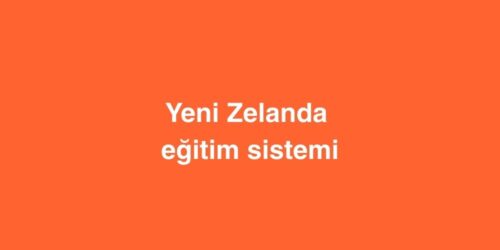 yeni zelanda egitim sistemi 2 500x250 1