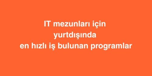 IT Mezunları İçin Yurtdışında En Hızlı İş Bulunan Programlar 342 bir alt baslik ekleyin 54 500x250 1