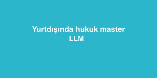 Yurtdışında Hukuk Master LLM 341 orange and white modern uxui designer linkedin banner 18 500x250 1