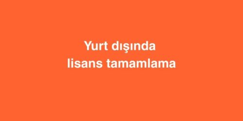 Yurt dışında Lisans Tamamlama 344 yurt disinda lisans tamamlama 2 500x250 1