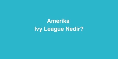 Amerika Ivy League Nedir? 313 amerika ivy league nedir 500x250 1