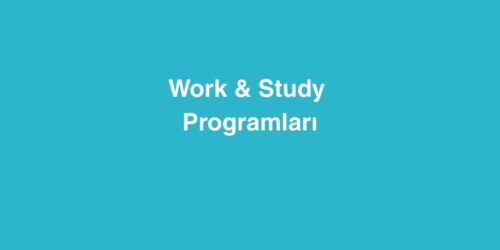 Work & Study Programları 315 work study programlari 500x250 1