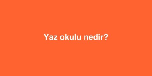 Yaz Okulu Nedir? 303 yaz okulu nedir 1