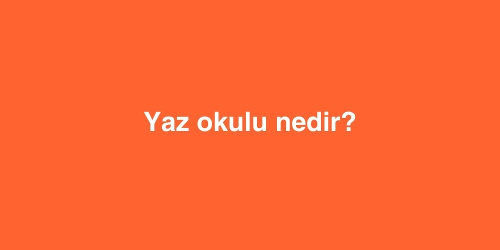 yaz okulu nedir 1