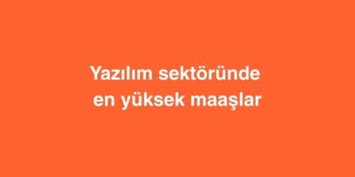 Yazılım Sektöründe En Yüksek Maaşlar 322 yazilim sektorunde en yuksek maaslar 500x250 1