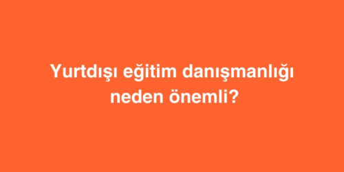 Yurtdışı eğitim danışmanlığı neden önemli? 291 yurtdisi egitim danismanligi neden onemli 500x250 1