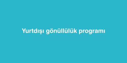 Yurtdışı Gönüllülük Programı 300 yurtdisi gonulluluk programi 500x250 1