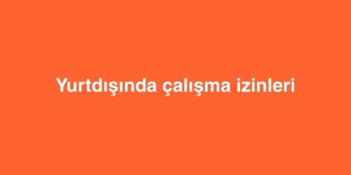 Yurtdışında Çalışma İzinleri 18 yurtdisinda calisma izinleri 1 500x250 1