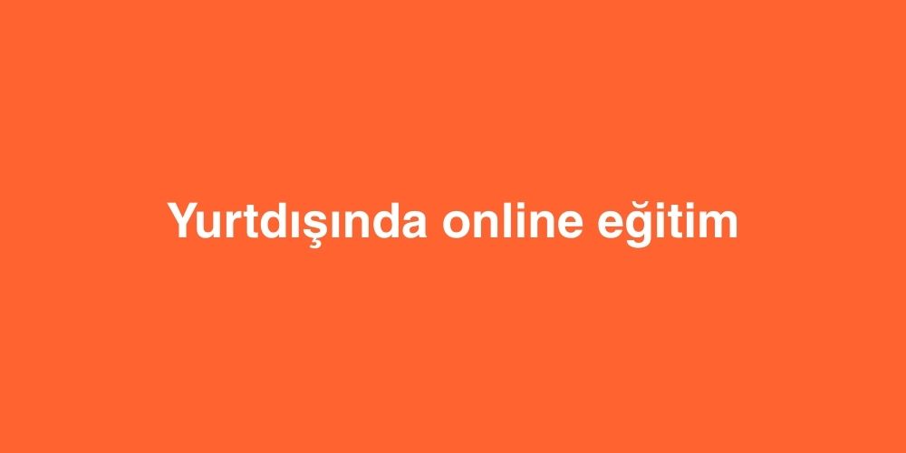 yurtdisinda online egitim 1