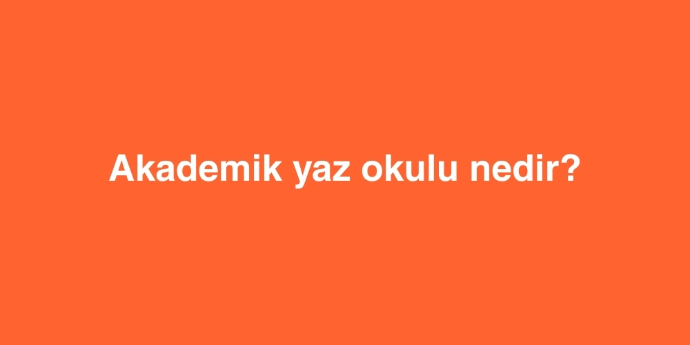 akademik yaz okulu nedir 1