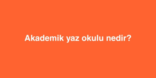 Akademik Yaz Okulu Nedir? 271 akademik yaz okulu nedir 500x250 1