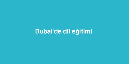 Dubai'de dil eğitimi 276 dubaide dil egitimi 500x250 1
