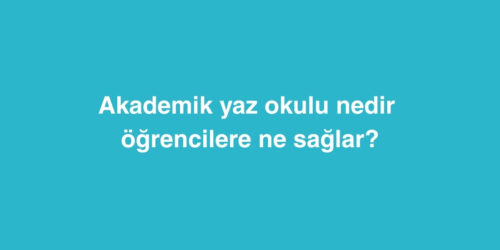 Akademik Yaz Okulu Nedir ve Öğrencilere Ne Sağlar? 12 akademik yaz okulu nedir ve ogrencilere ne saglar 500x250 1