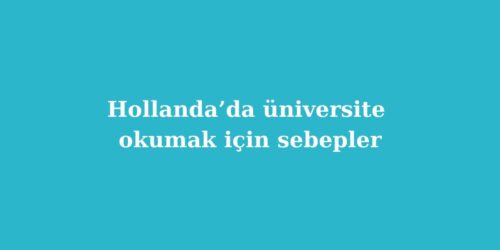 Hollanda’da Üniversite Okumak İçin Sebepler 221 hollandada universite okumak icin sebepler 500x250 1