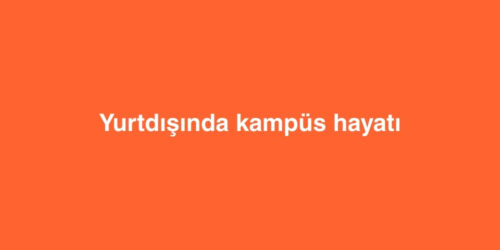 Yurtdışında Kampüs Hayatı 227 yurtdisinda kampus hayati 500x250 1