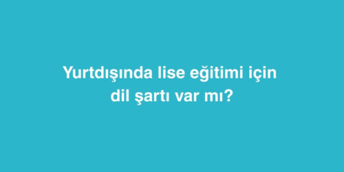 Yurtdışında Lise Eğitimi İçin Dil Şartı Var mı? 238 yurtdisinda lise egitimi icin dil sarti var mi 500x250 1