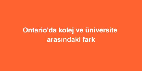 Ontario'da Kolej ve Üniversite Arasındaki Fark 200 ontarioda kolej ve universite arasindaki fark 500x250 1